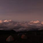 2 סיפורים מהשבוע החולף ו -5 סימנים שאסור להתעלם מהם – 13.6.20