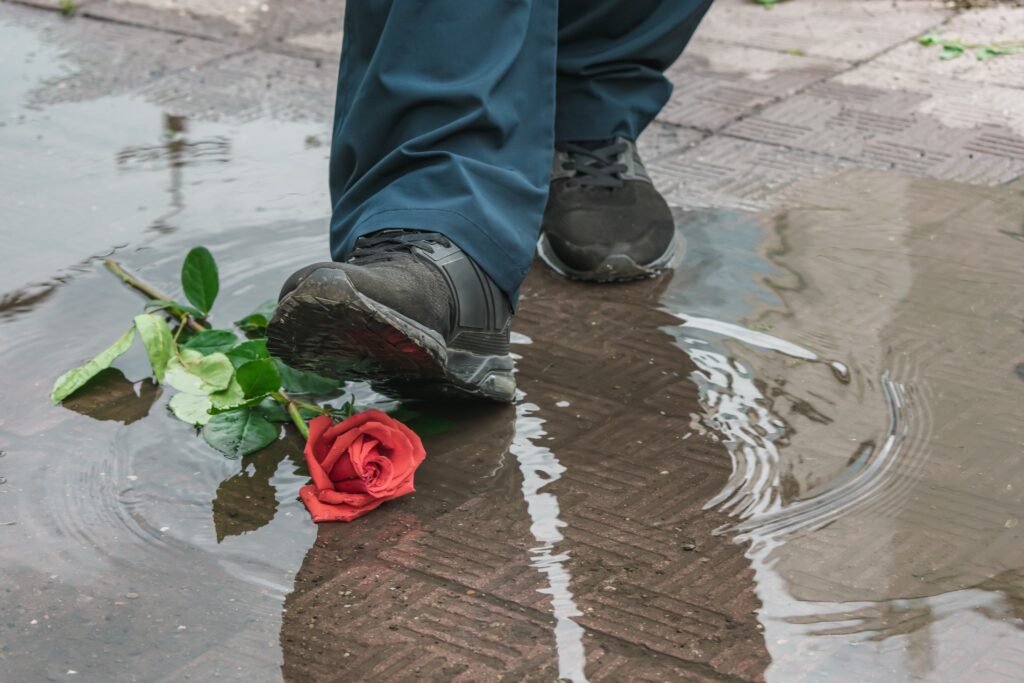 על העיוורון או כרוניקה של ניכור הורי – 12.11.22