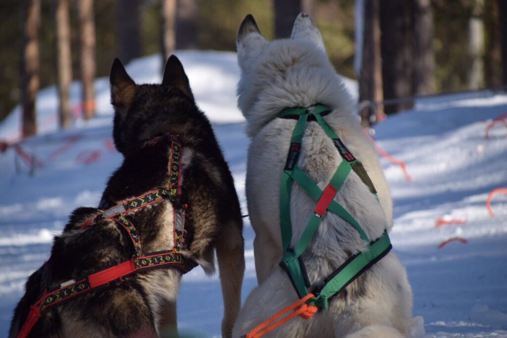 Three Stories from the past week – 4.7.18