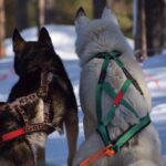 3 סיפורים מהשבוע החולף &#8211; 7.4.18