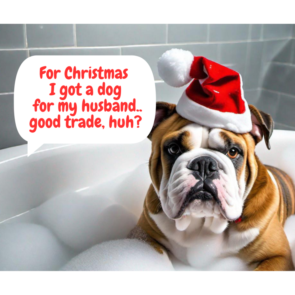 על נשים וכלבות ששינו את חייהן – 30.9.23