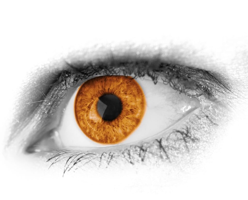 3 סיפורים מהשבוע החולף על רוע אנושי  13.1.18