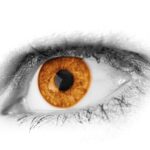 3 סיפורים מהשבוע החולף על רוע אנושי 13.1.18