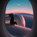 מותחן משפטי ב- 3 מערכות מהשבוע החולף – 21.12.19