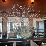 3 סיפורי יפן מהשבוע החולף – 4.3.23