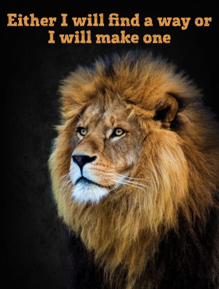 3 סיפורים מהשבוע החולף – 5.10.19 (קצת ארוך אבל כיפור בפתח…)