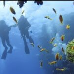 2 סיפורים מהשבוע החולף – 15.4.23