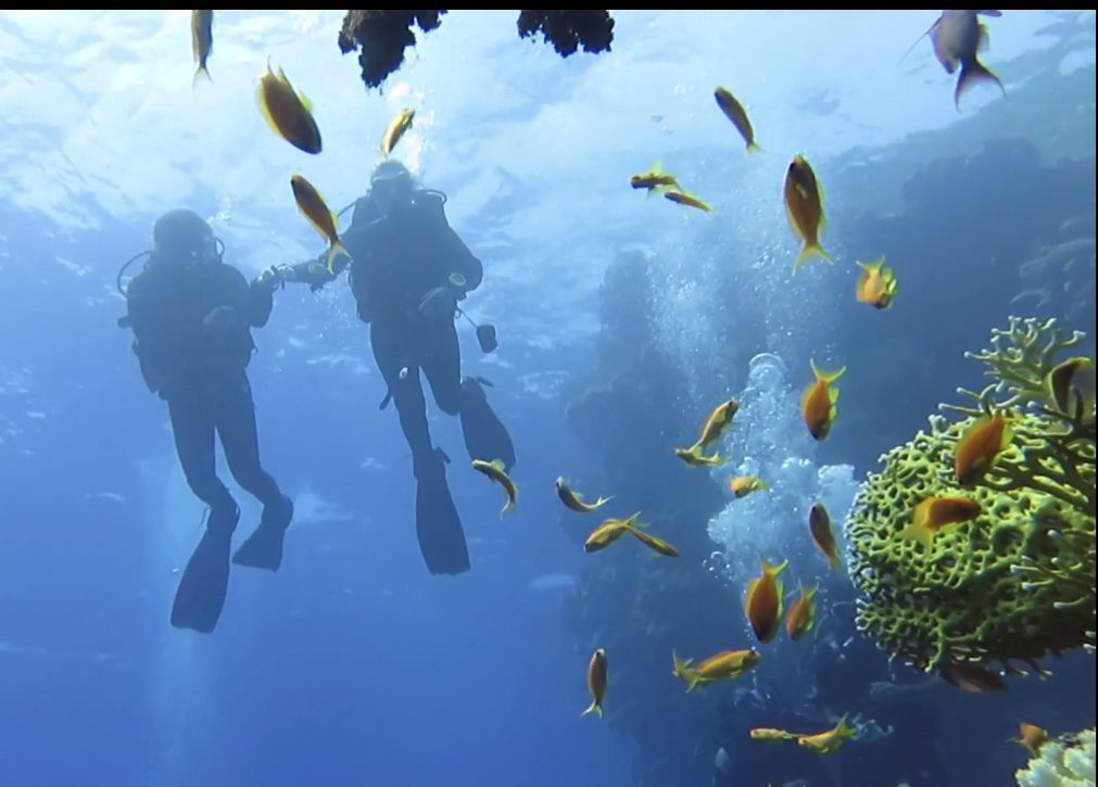 2 סיפורים מהשבוע החולף – 15.4.23