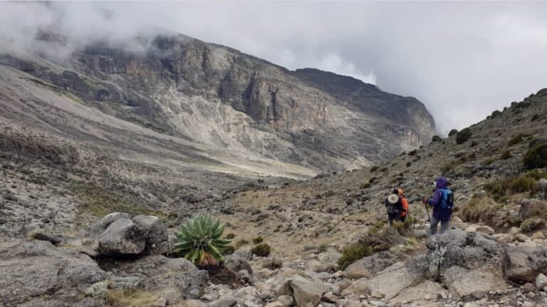 הקילימנגרו שלי –  זהירות *ארוך וחושפני* – 2.3.19
