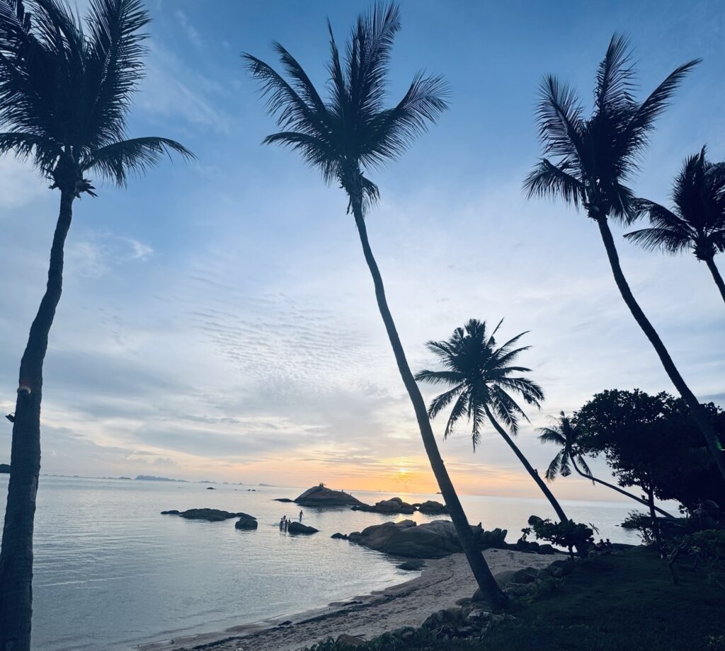 אטמוספירות – 16.8.25