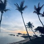 אטמוספירות – 16.8.25