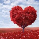 2 סיפורים משבוע בידוד ומוסר השכל בסוף- 26.9.20