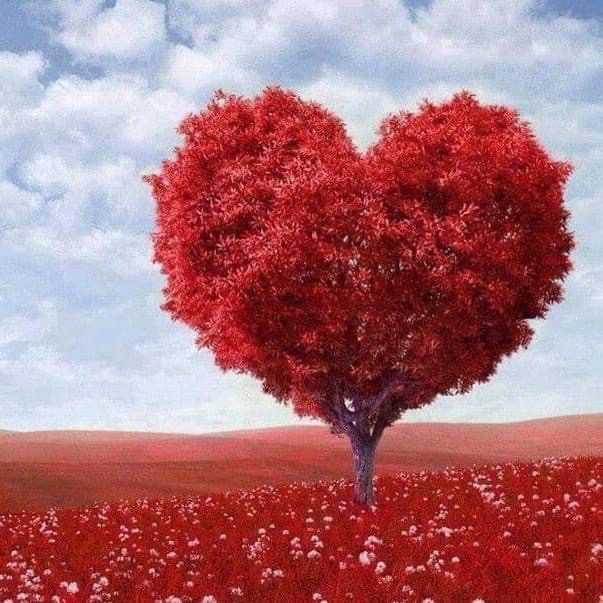 2 סיפורים משבוע בידוד ומוסר השכל בסוף- 26.9.20