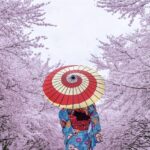 5 תובנות יפניות שיעשו לכם טוב יותר בשנה החדשה – 31.12.22