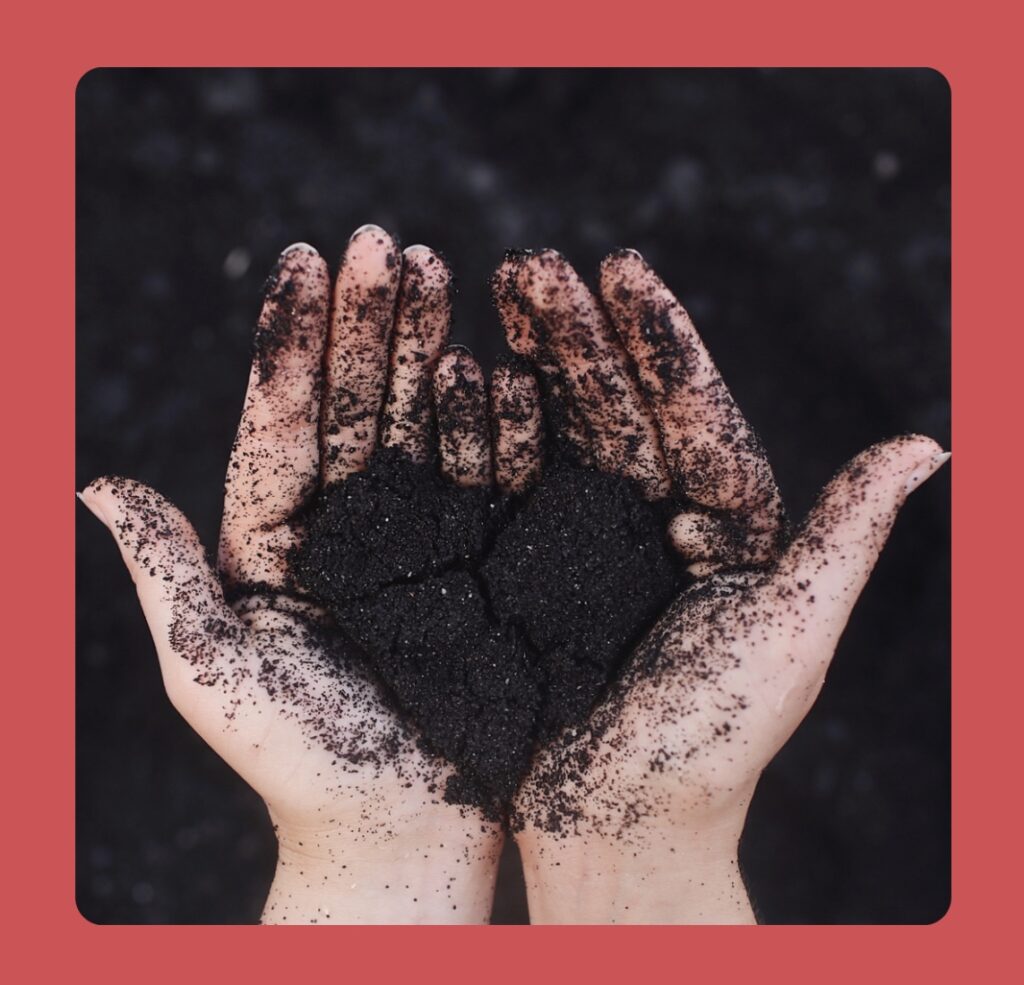 2 סיפורים מהשבוע החולף – 31.7.21